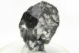 Metallic Wodginite Crystals - Brazil #214573-1